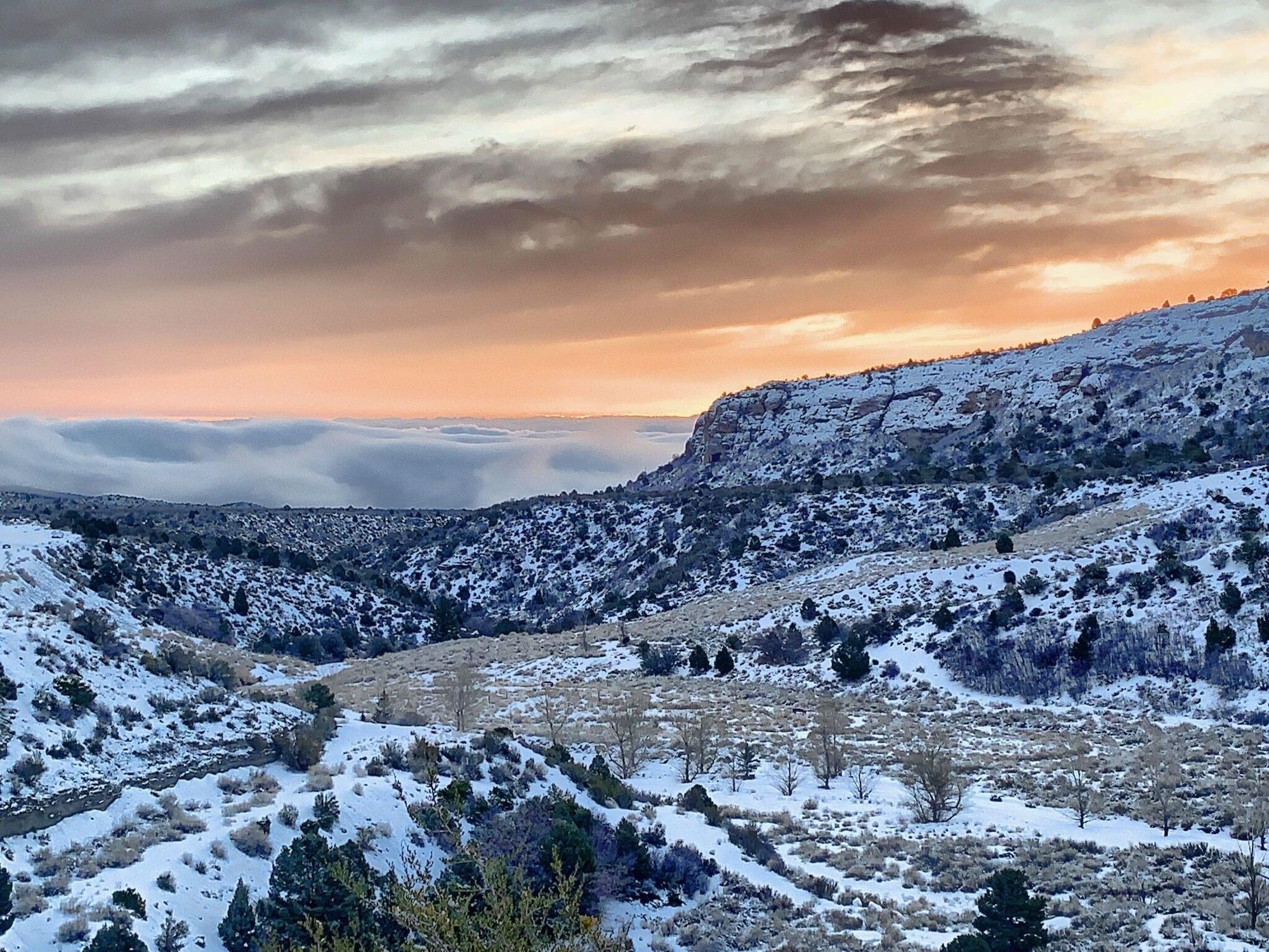 The Resort On Mount Charleston Esterno foto